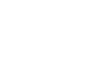 logo_remmerswaal-300x235